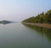 bosques sundarbans