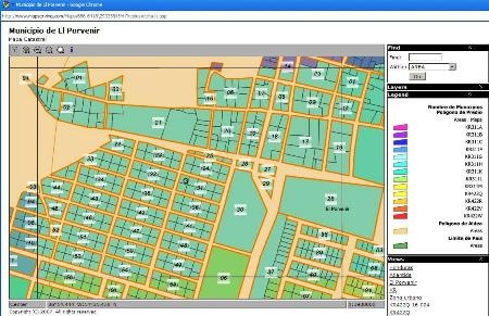 manifold gis ims