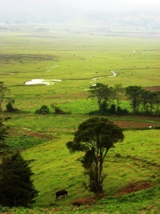 valle de azacualpa